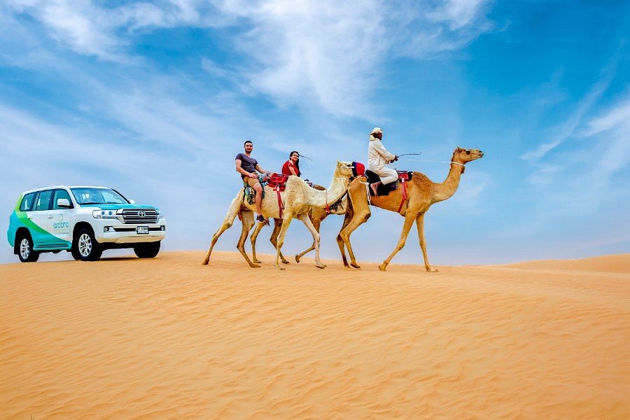 Morocco desert tour with 4x4 and camels