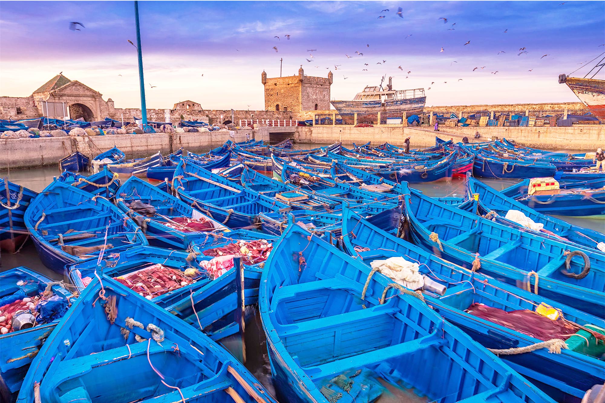 Essaouira Day Trip